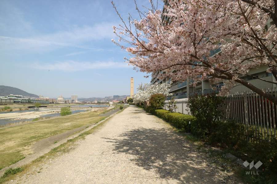 敷地西側の武庫川沿いの遊歩道
