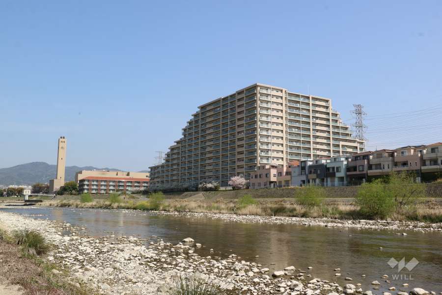 宝塚エリーの遠景