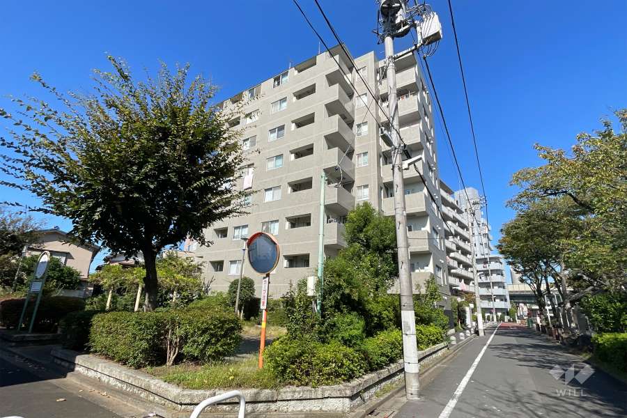 サンヴェール亀有の外観（南東側から）