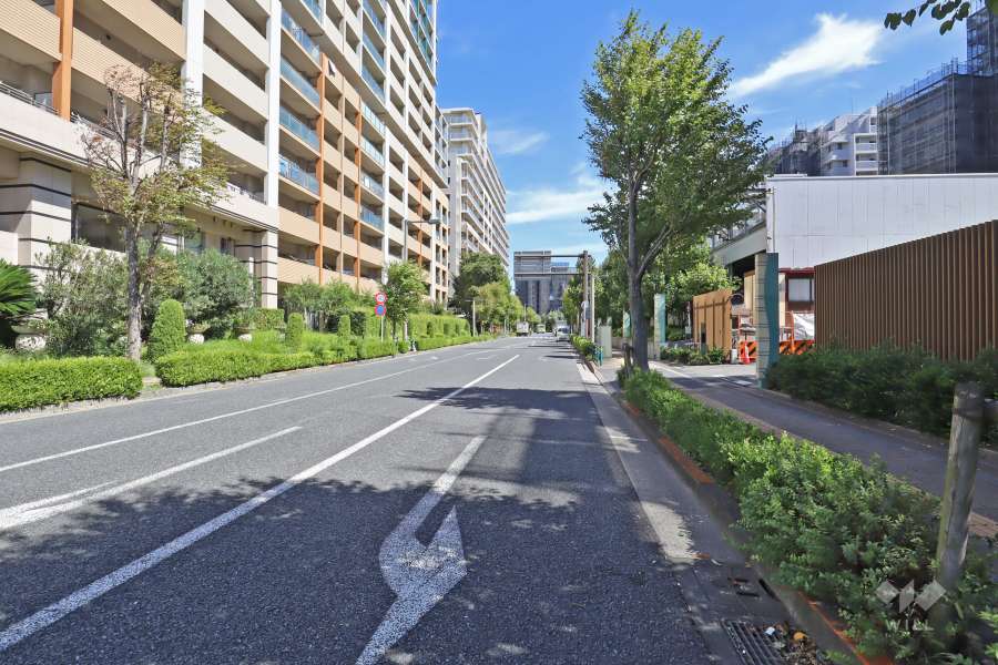 敷地北側の前面道路（西側から）
