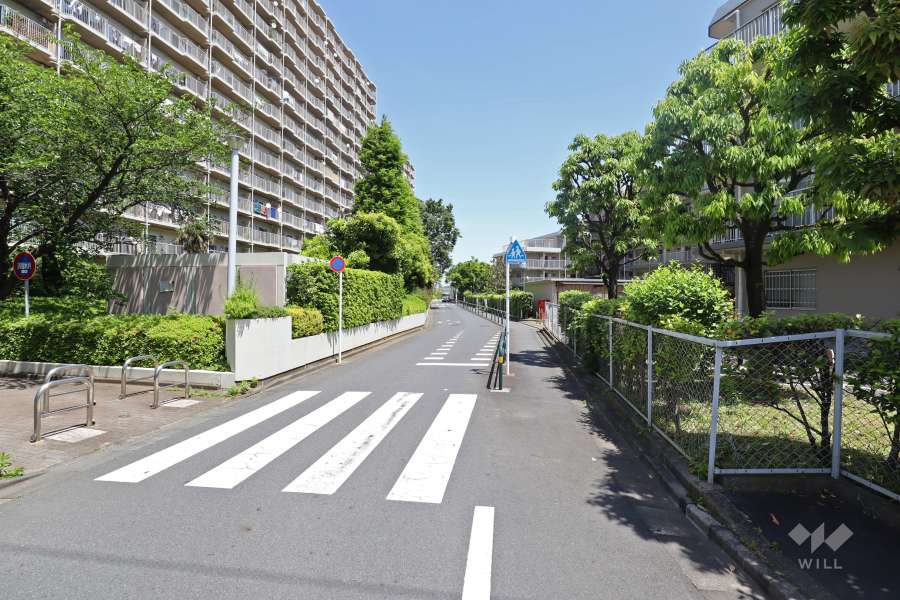 敷地南側の前面道路（西側から）