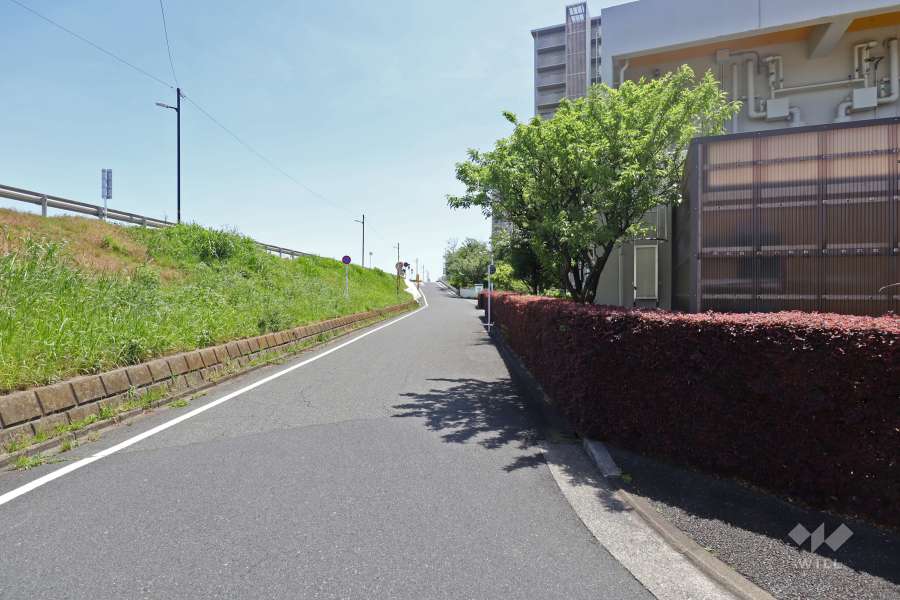 敷地東側の前面道路（北側から）