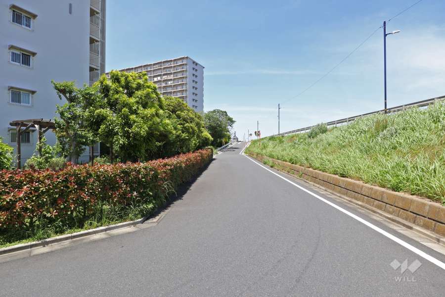敷地東側の前面道路（南側から）