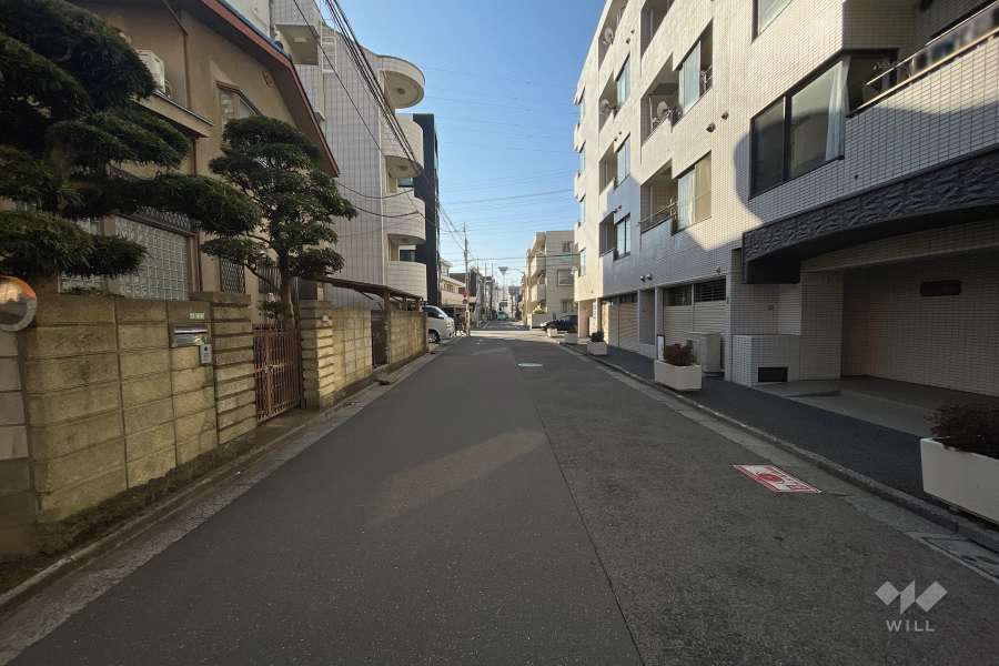 敷地南東側の前面道路（北東側から）