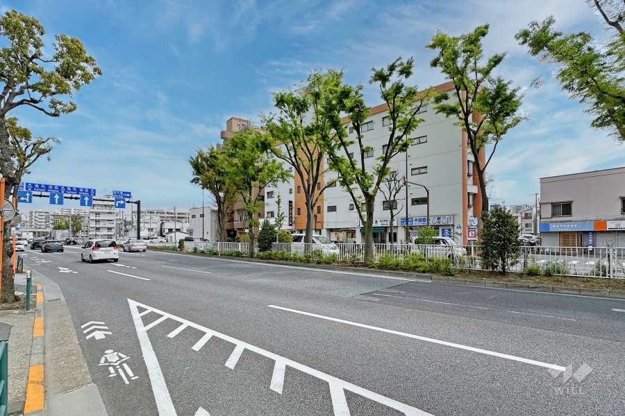 敷地北側の前面道路（西側から）