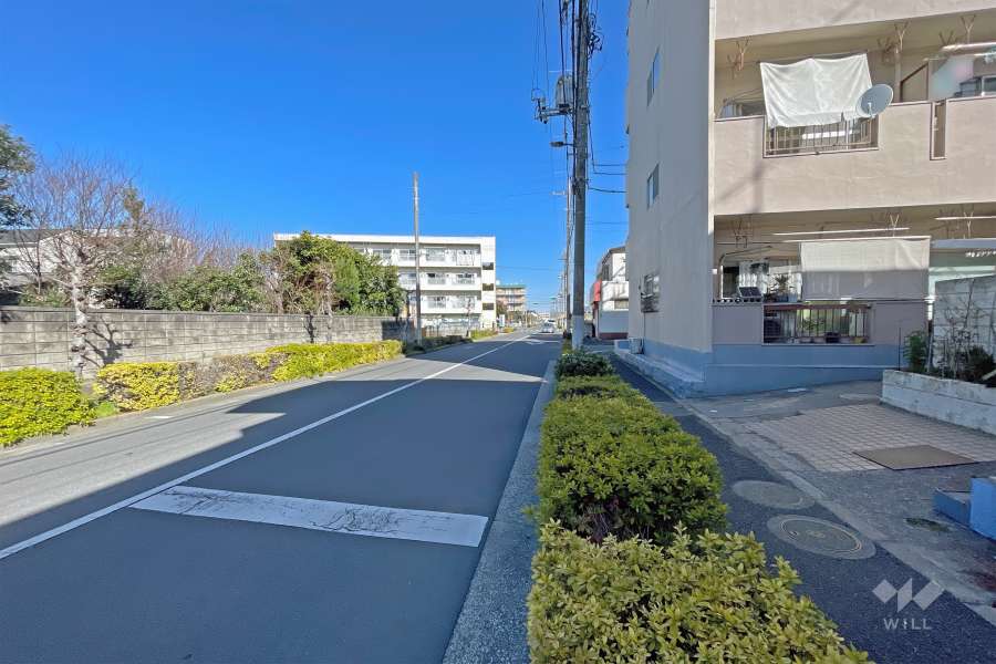 敷地の西側前面道路（南側から）