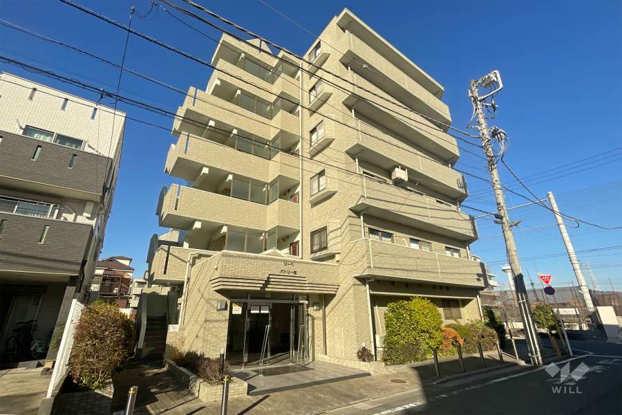 リーベパトリー椿の外観（南西側から）