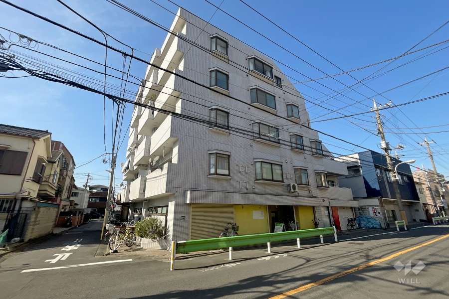 グリーンキャピタル竹ノ塚の外観（南東側から）