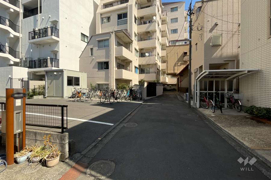 敷地の西側前面道路（北側から）