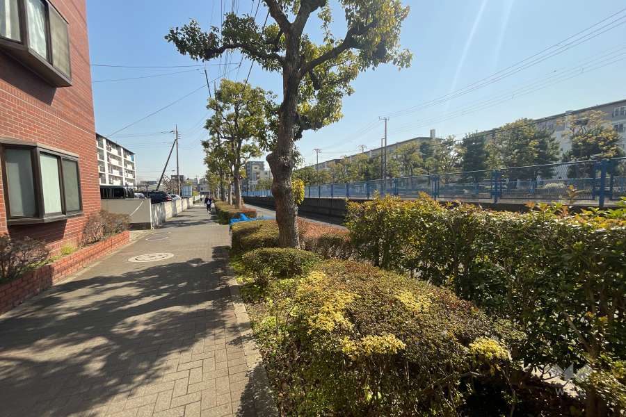 敷地の南側前面道路（西側から）