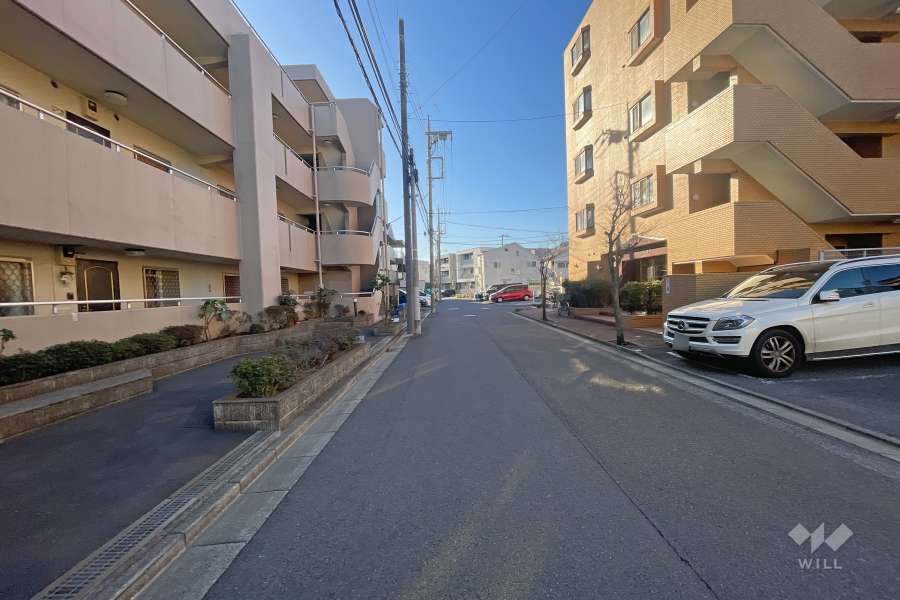 敷地北側の前面道路（東側から）