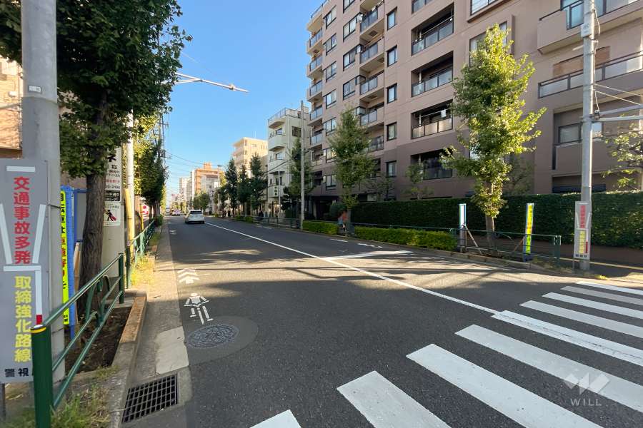 敷地西側の前面道路（南側から）