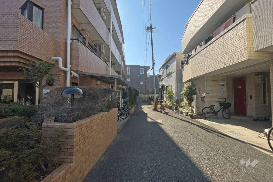 敷地西側の前面道路（北側から）