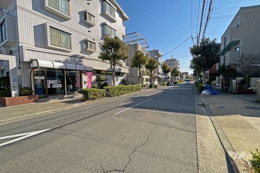 敷地の西側前面道路（北側から）
