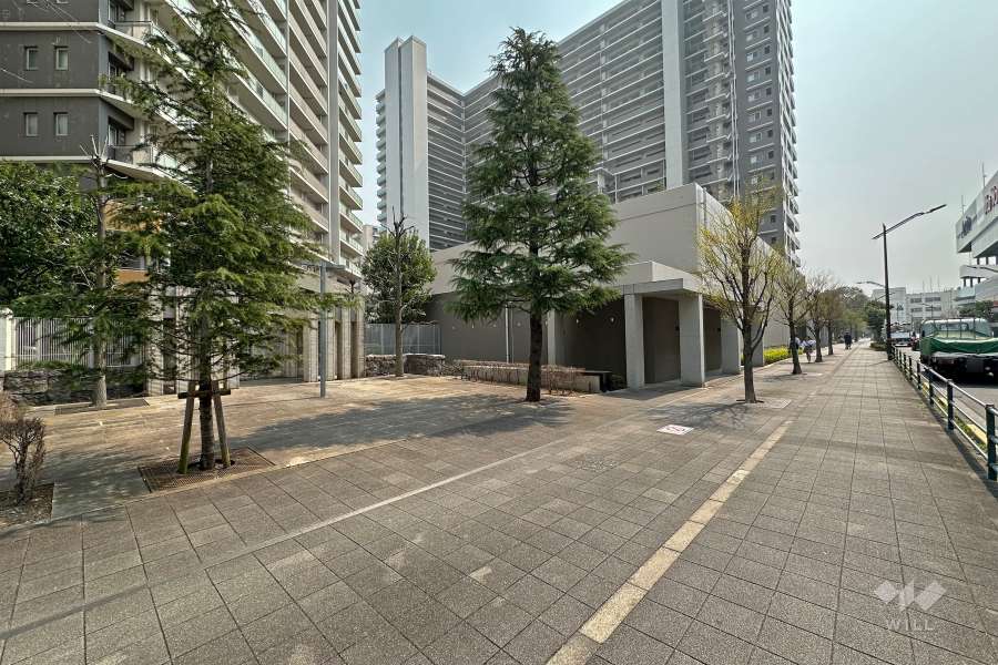 敷地の西側前面道路は「せんぷ通り」です（北側から）。