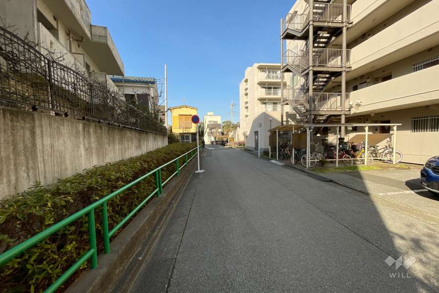 敷地西側の前面道路（南側から）