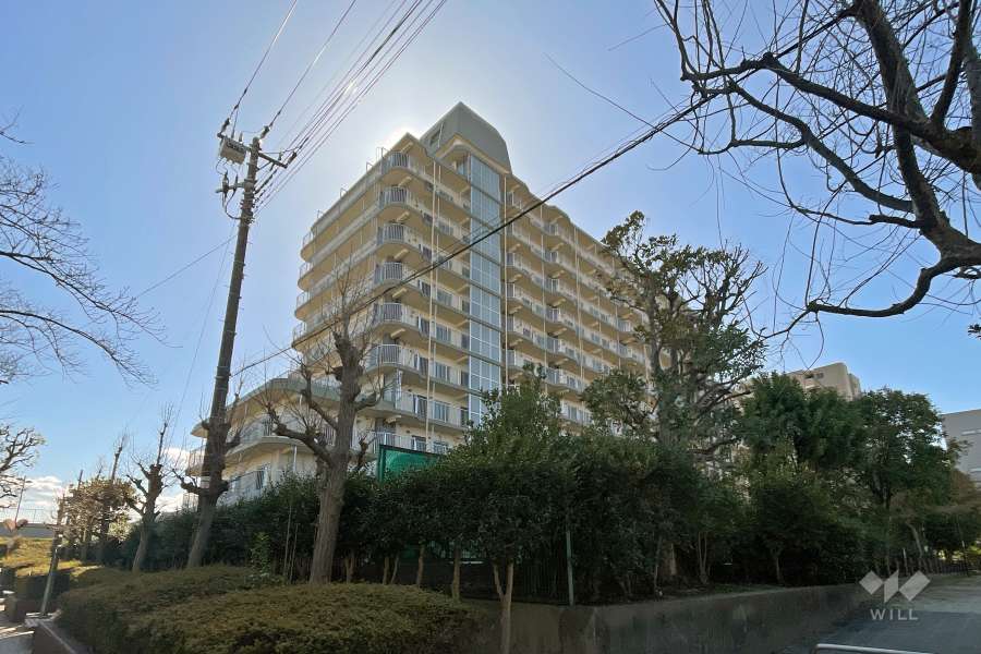 ニューライフマンション小台橋の外観（北東側から）