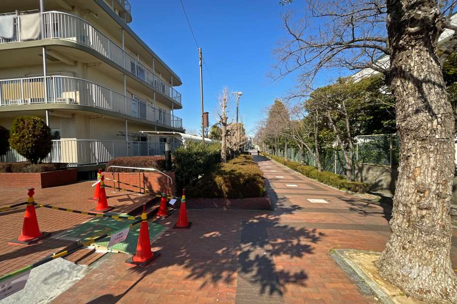 敷地東側の前面道路（南側から）