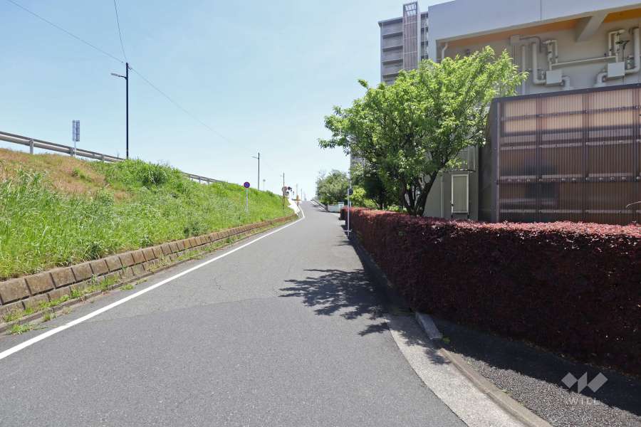 敷地東側の前面道路（北側から）