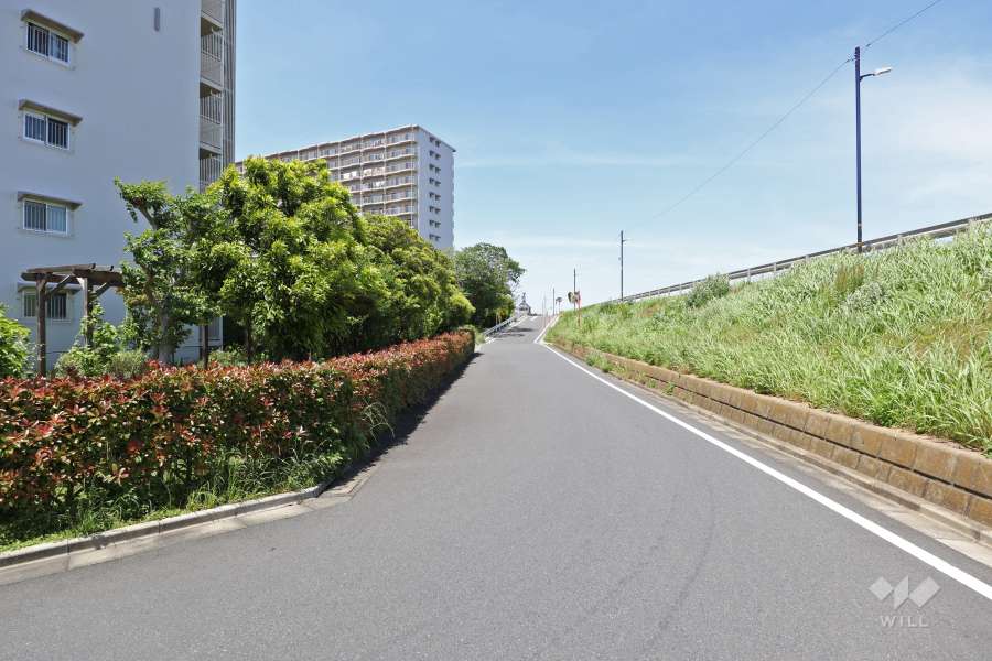 敷地東側の前面道路（南側から）
