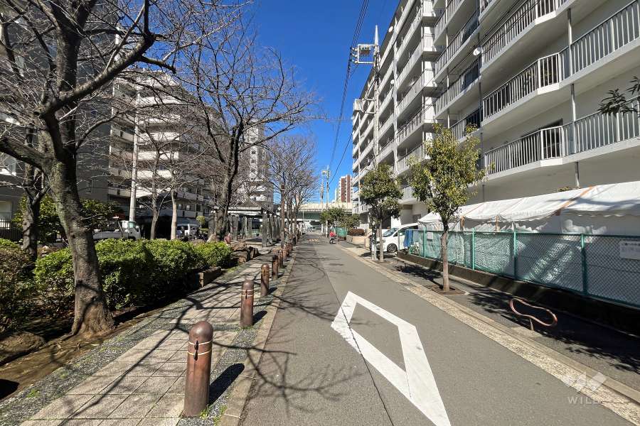 敷地西側の前面道路