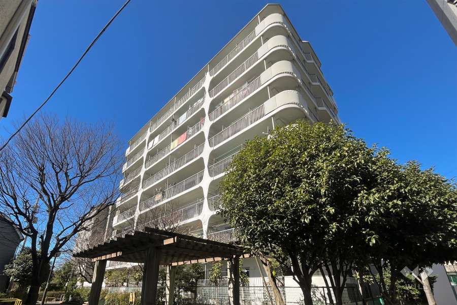 ネオコーポ亀有の外観(南東側から)