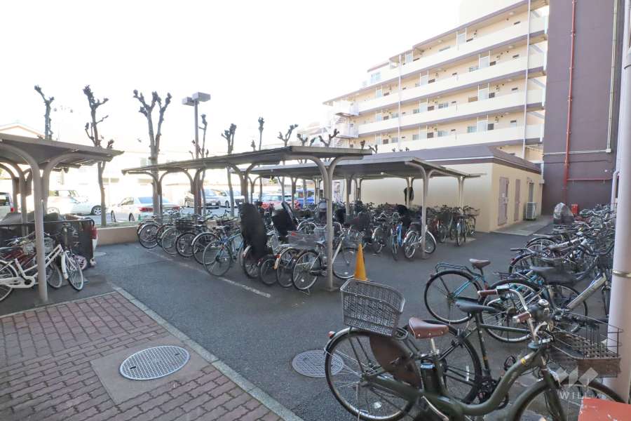 敷地北側の前面道路（東側から）