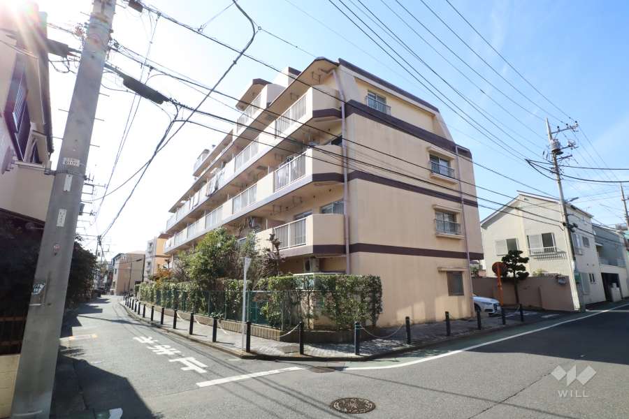 ダイアパレス綾瀬の外観（北東側から）