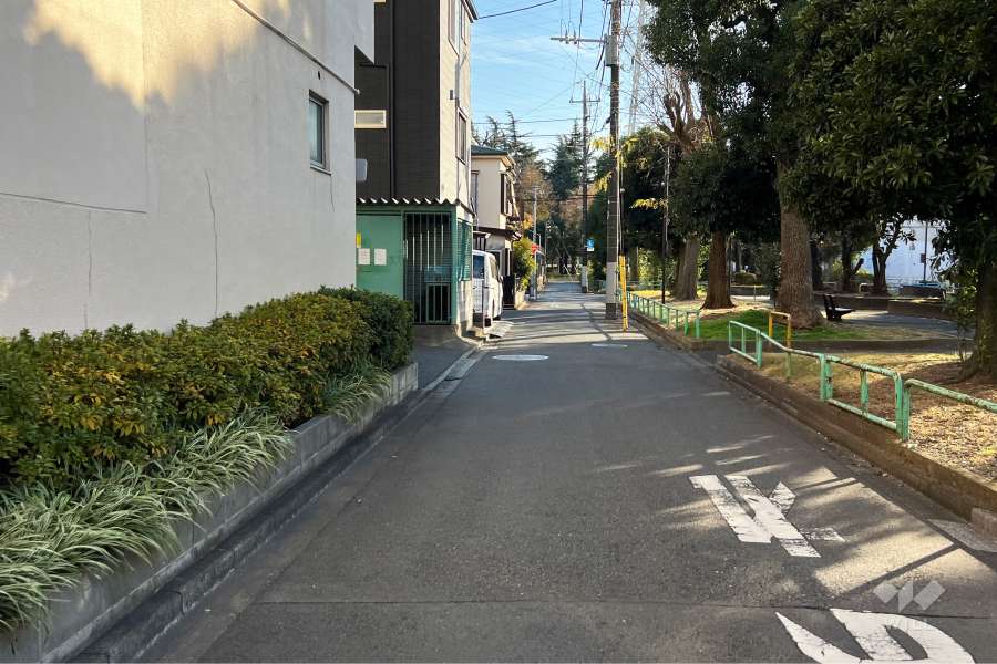 敷地の西側前面道路（北側から）