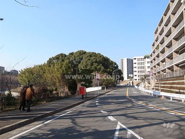 敷地の西側には道を挟んで桃山台公園が広がっています。