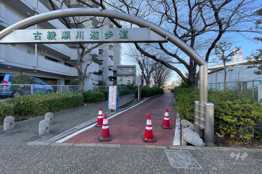 敷地北東側の前面道路　