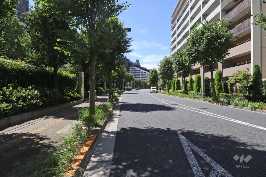 敷地北側の前面道路（東側から）