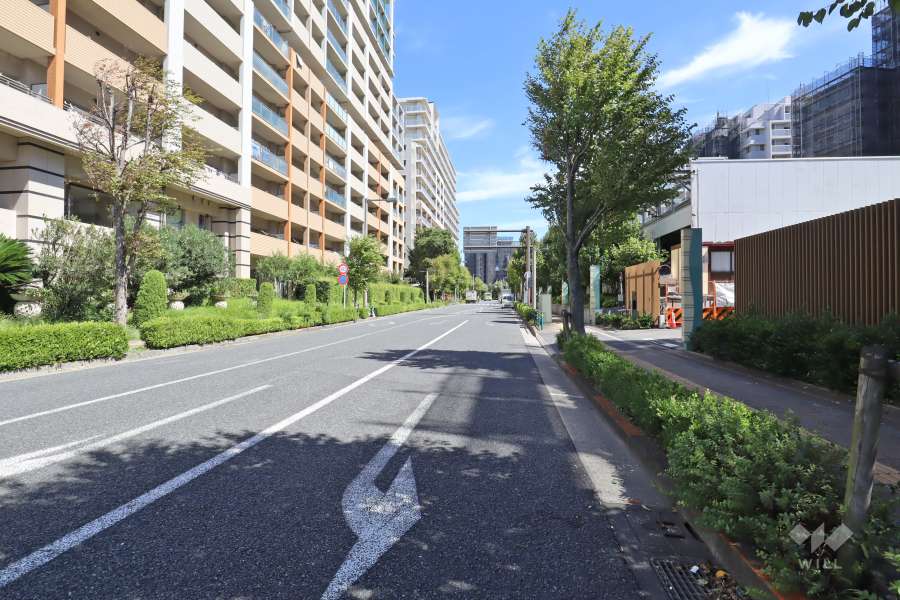 敷地北側の前面道路（西側から）