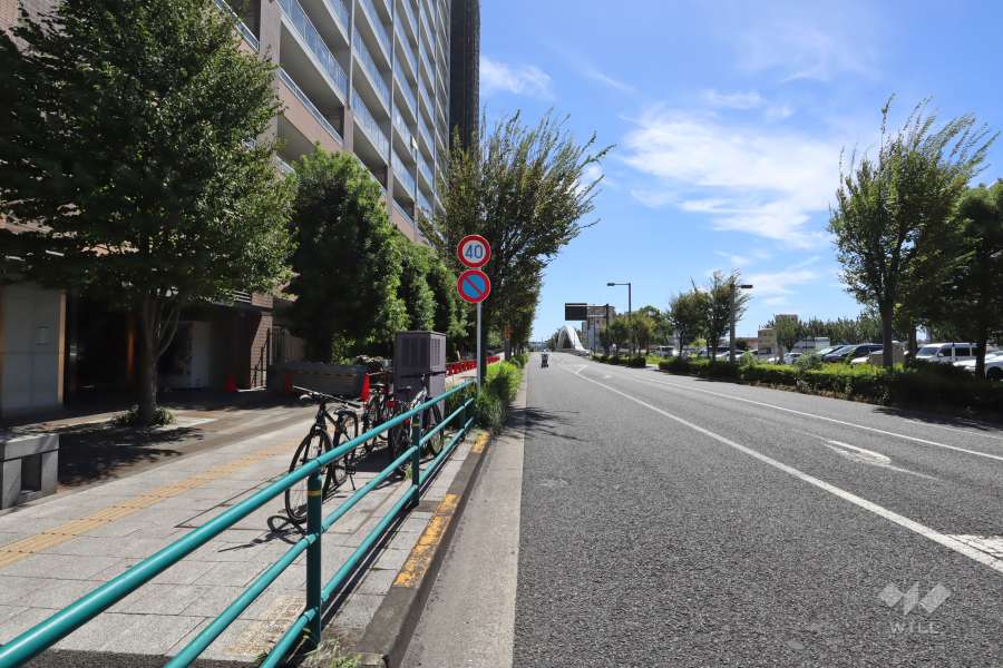 敷地西側の前面道路(北側から)