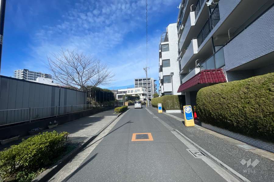 敷地の南西側前面道路（南東側から）
