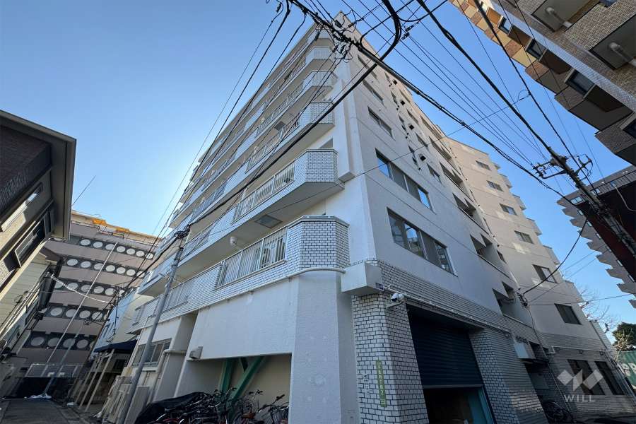大峡ダイアパレス千寿の外観(北東側から）