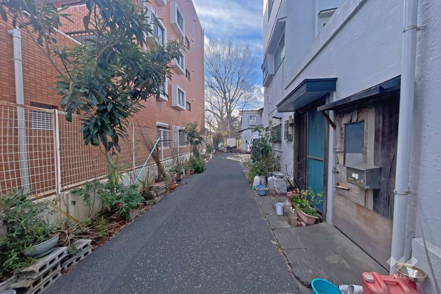 敷地の西側前面道路（北側から）