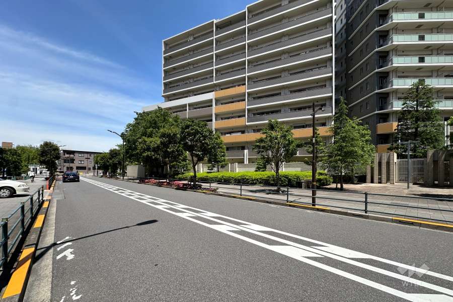敷地西側の前面道路（南側から）