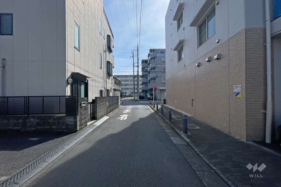 敷地東側の前面道路（北側から）