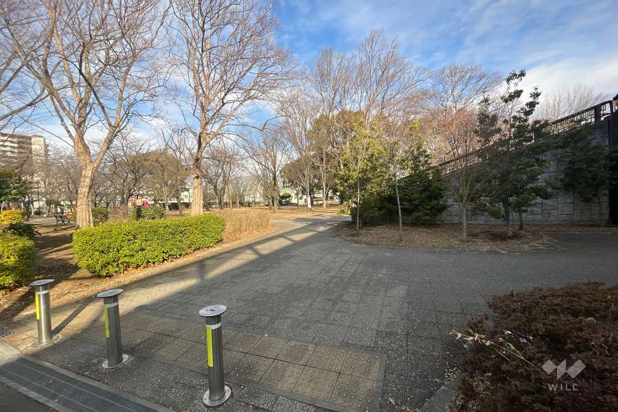 敷地に隣接した東綾瀬公園