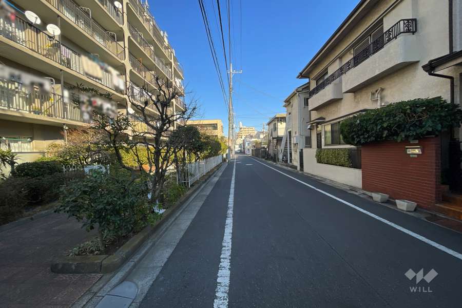 敷地南側の前面道路（西側から）