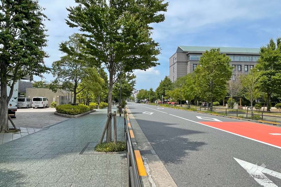 敷地北側の前面道路（東側から）