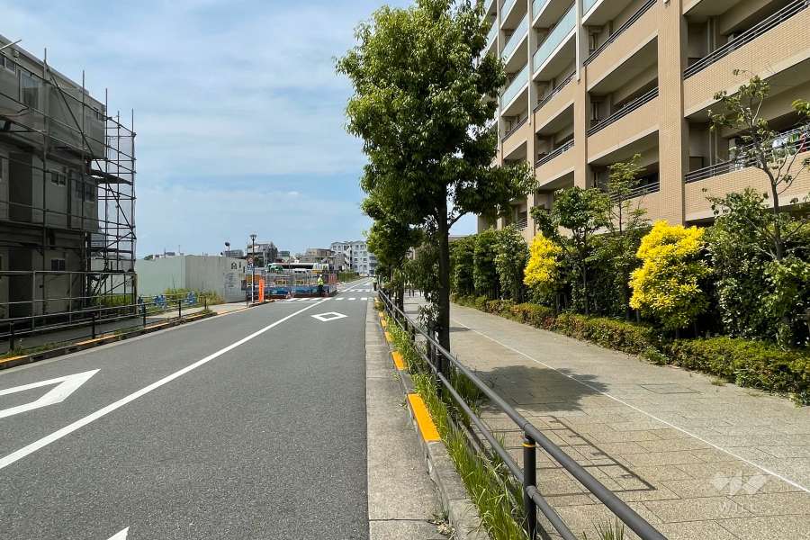 敷地南側の前面道路（東側から）