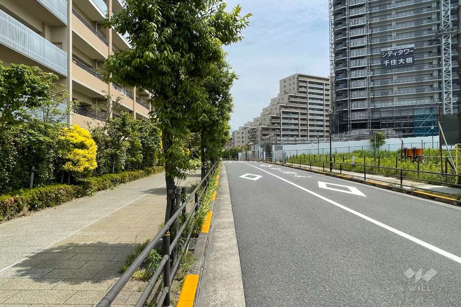 敷地南側の前面道路（西側から）