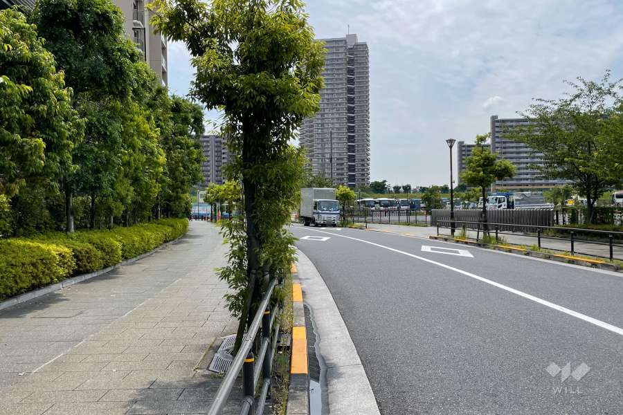 敷地西側の前面道路（北側から）