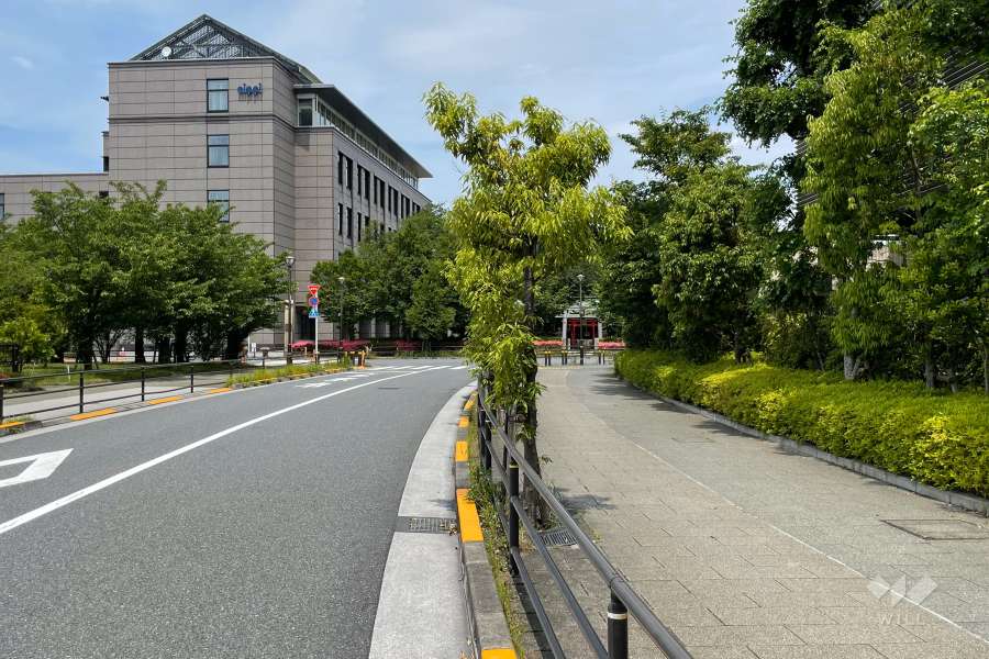 敷地の西側前面道路（南側から）