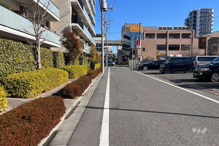 敷地の南側前面道路（西側から）