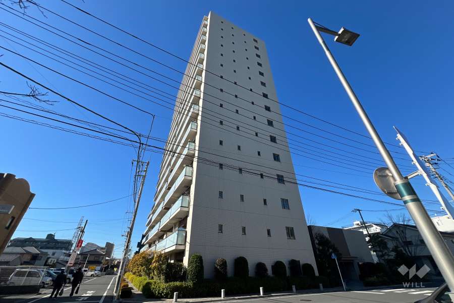 ハミングテラスの外観（東側から）