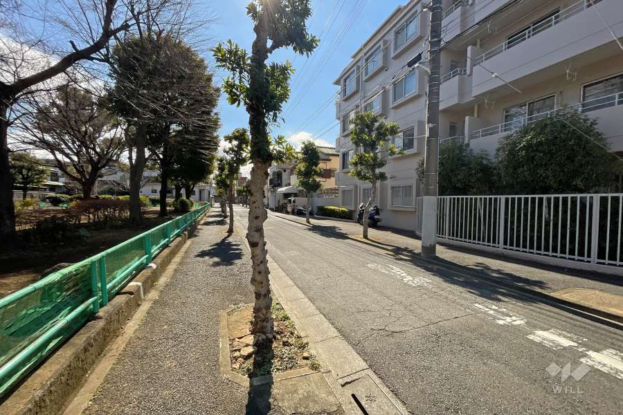 敷地東側の前面道路（北側から）