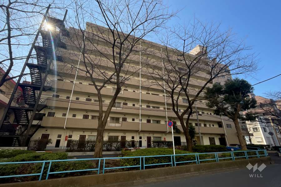 梅島ハイツの外観（北東側から）